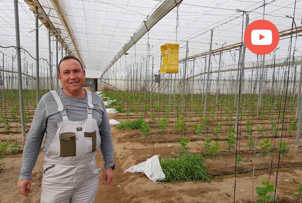 Juan José Rull, agricultor de Unica Group