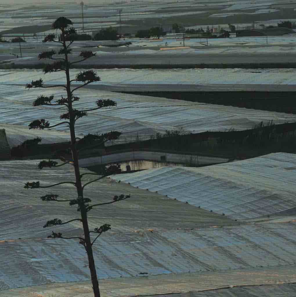 invernaderos de Almería