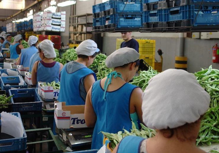 mujeres de manipulado de frutas y hortalizas