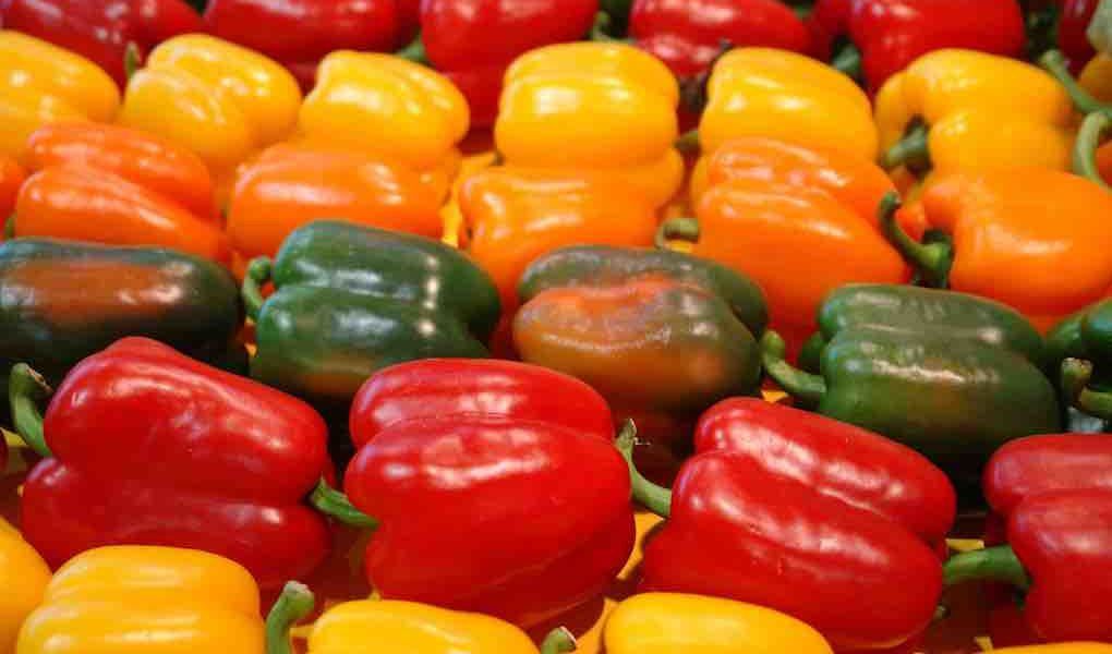 pimientos marzo