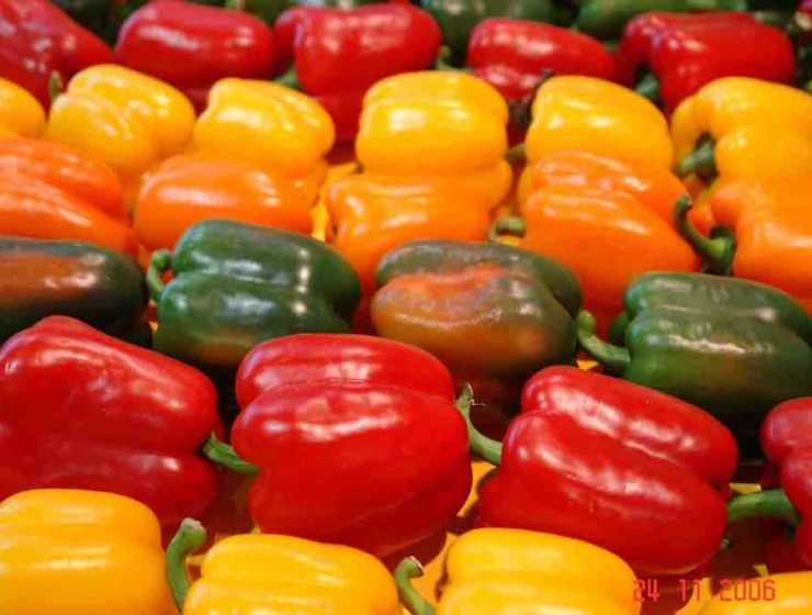 pimientos marzo