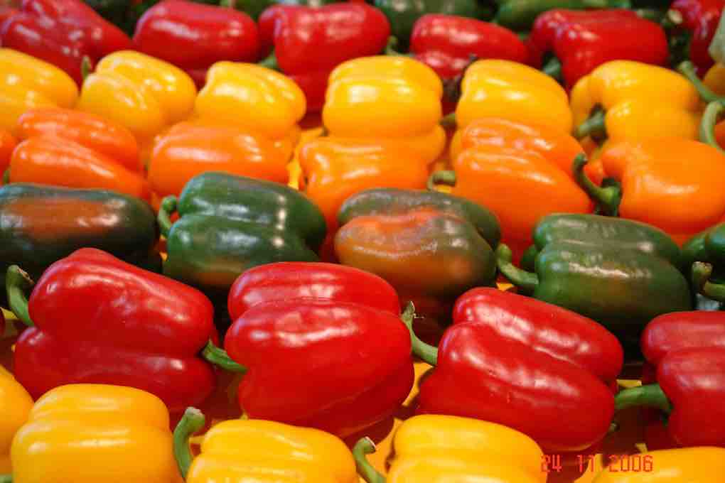 pimientos marzo