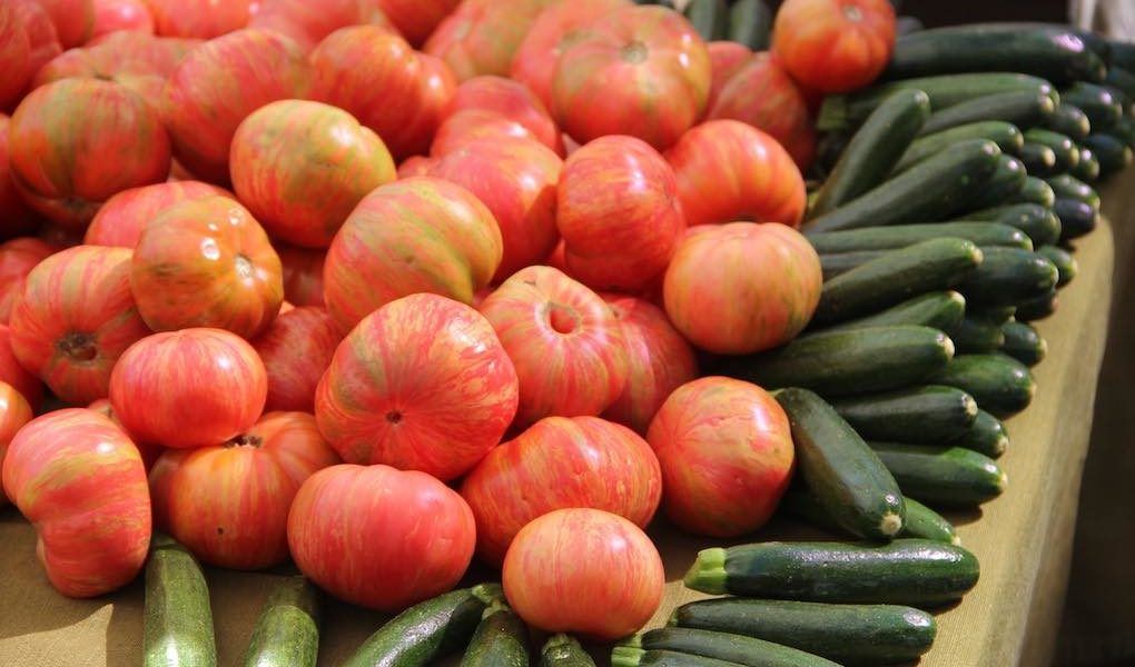 Tomates y calabacines, zuquini