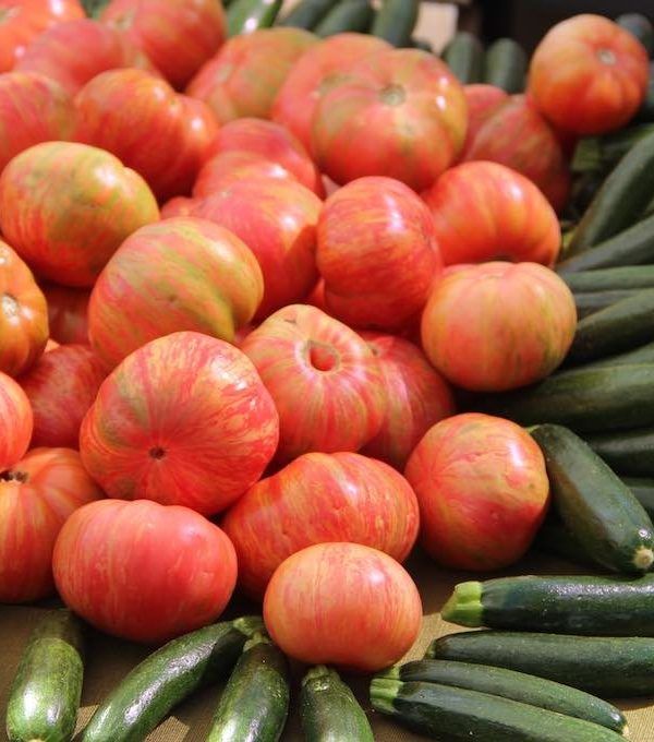 Tomates y calabacines, zuquini