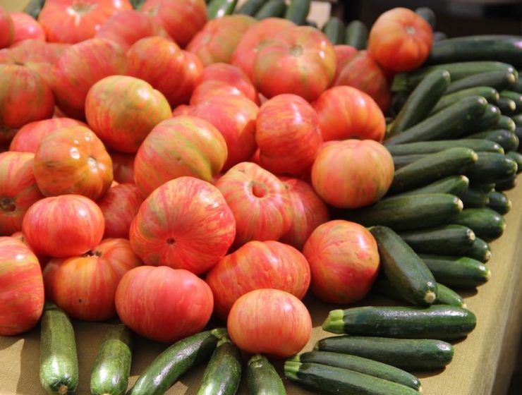 Tomates y calabacines, zuquini