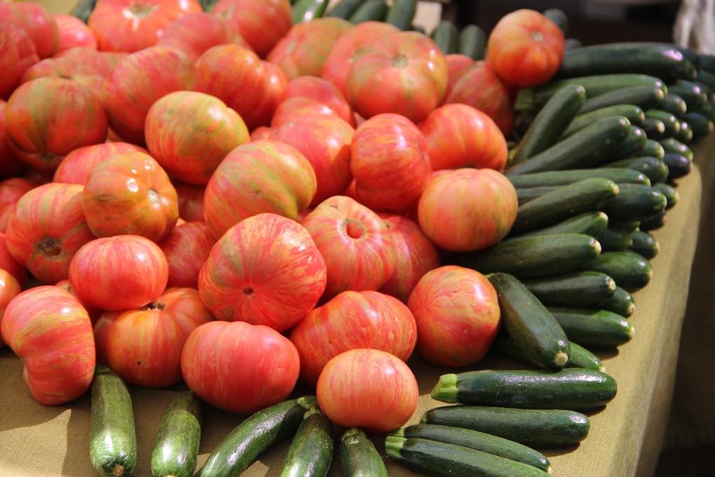 Tomates y calabacines, zuquini
