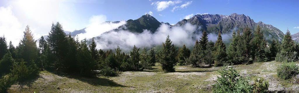 bosques
