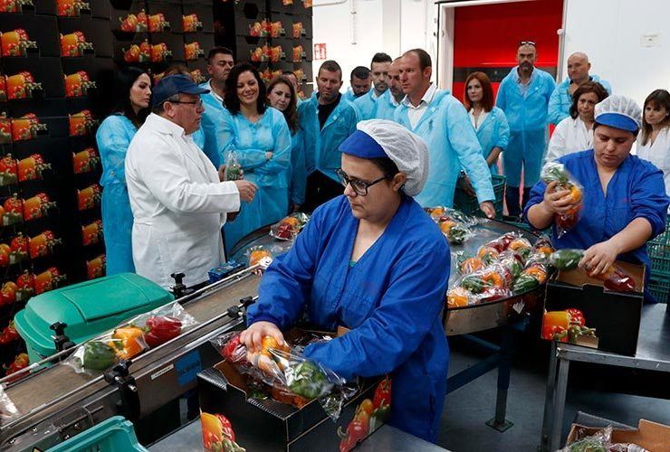 Jornada de puertas abiertas para presentar Vicasol 3