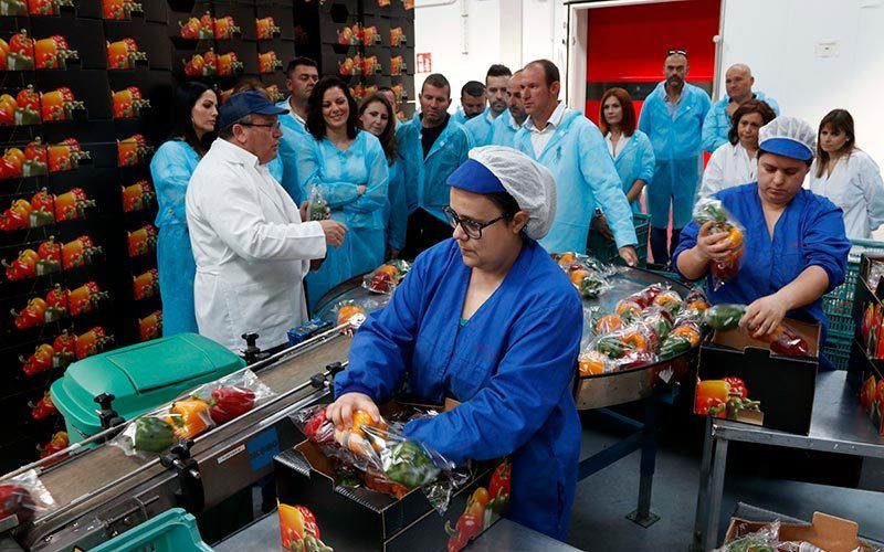 Jornada de puertas abiertas para presentar Vicasol 3
