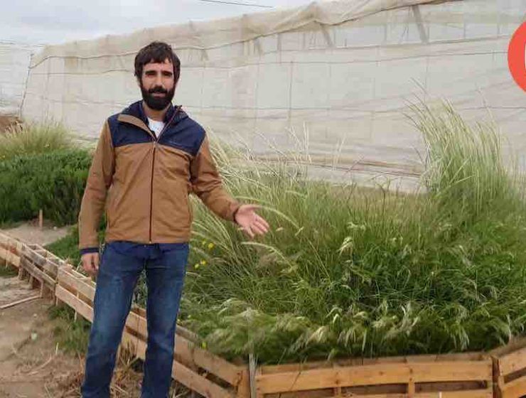 setos vegetales para el control biológico