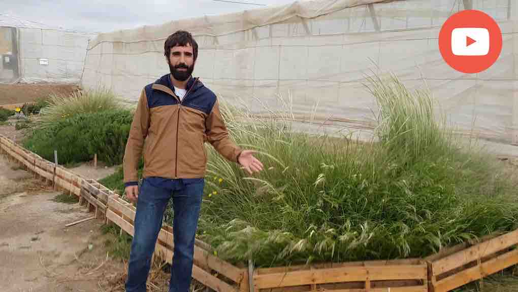 setos vegetales para el control biológico