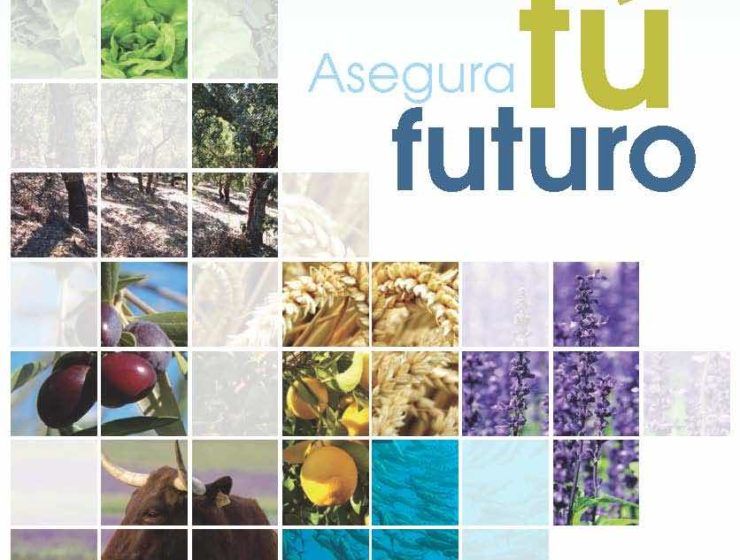 Guia de seguros agrarios