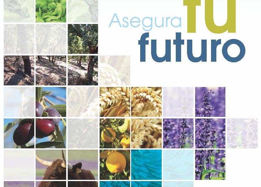 Guia de seguros agrarios