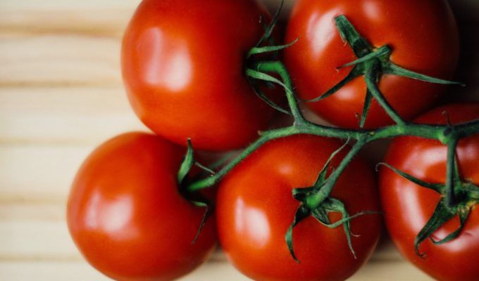 tomates frescos