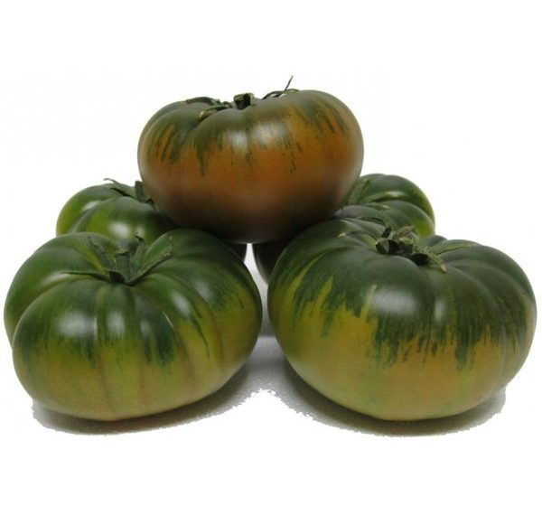 tomate asurcado cotizaciones