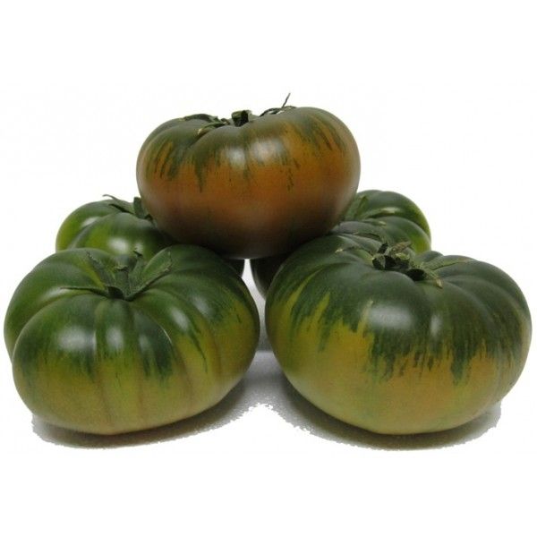 tomate asurcado cotizaciones