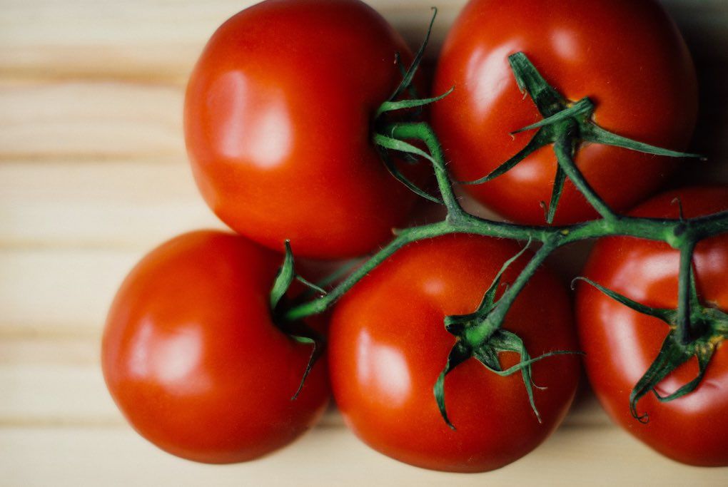tomates frescos