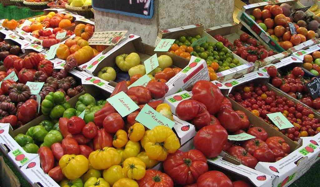 tomates franceses