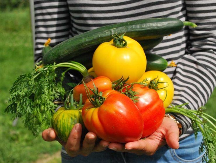 vegetales en la ingesta diaria