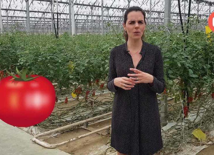 Ana Molina, nutricionista