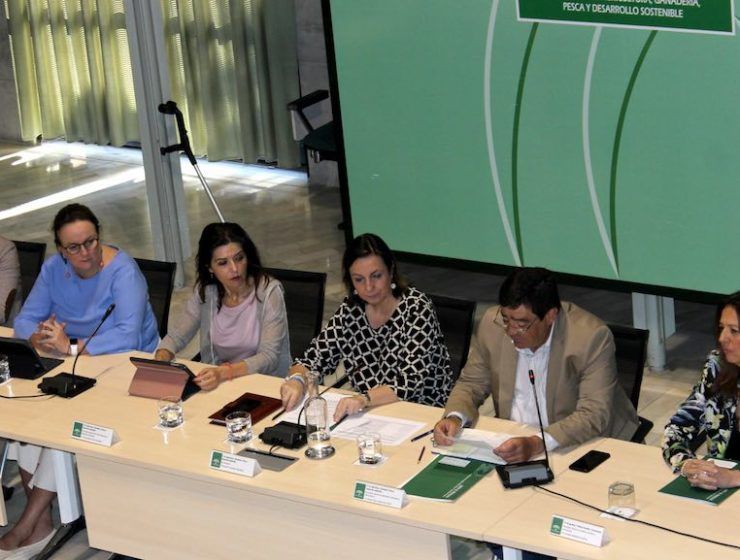Reunión de la mesa del comité director del Plan Estratégico.