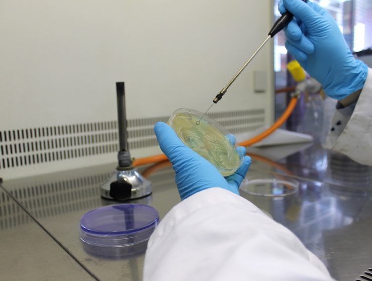 LABCOLOR