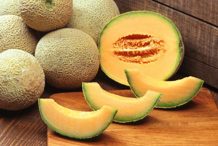 melon galia