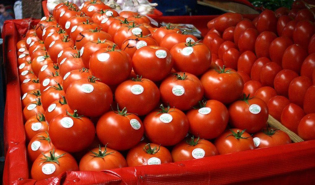 tomates mexicanos