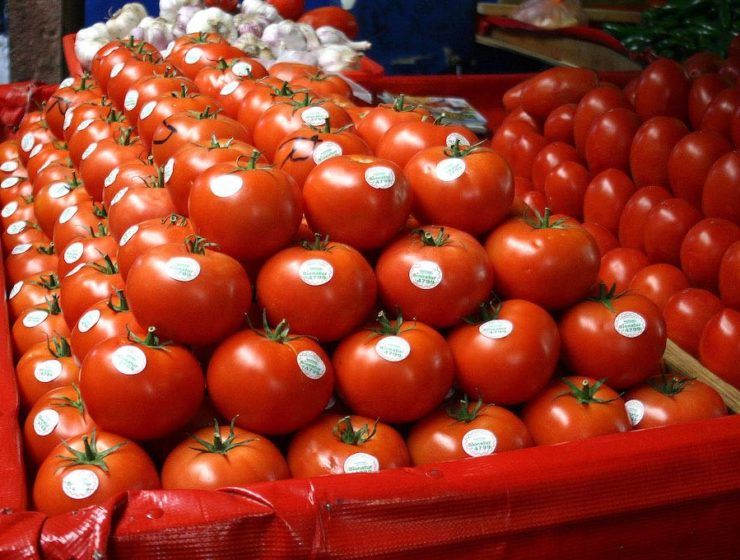 tomates mexicanos