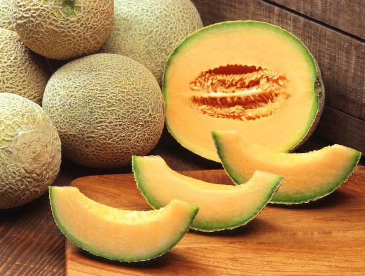 melon galia
