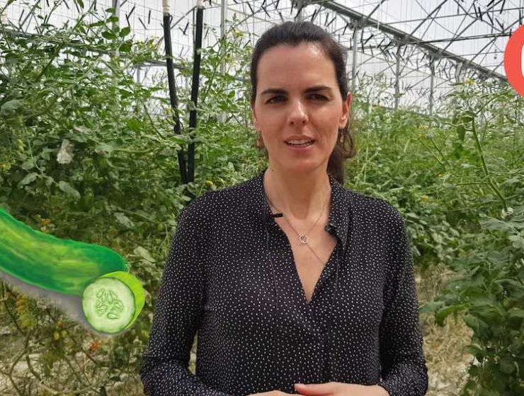 nutriconsejo sobre el pepino