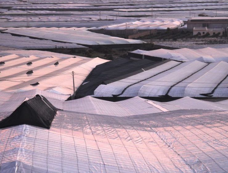 Invernaderos de Almería