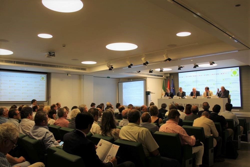 Imagen general de la Asamblea