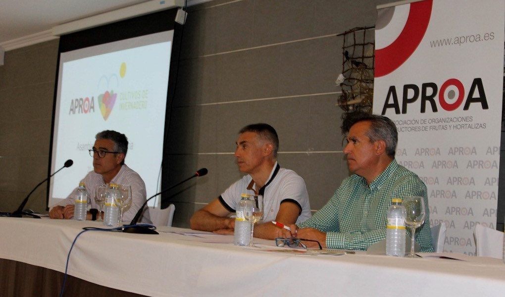 asamblea de aproa 2019-1