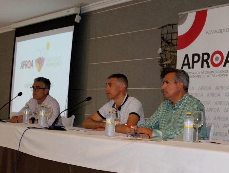 asamblea de aproa 2019-1