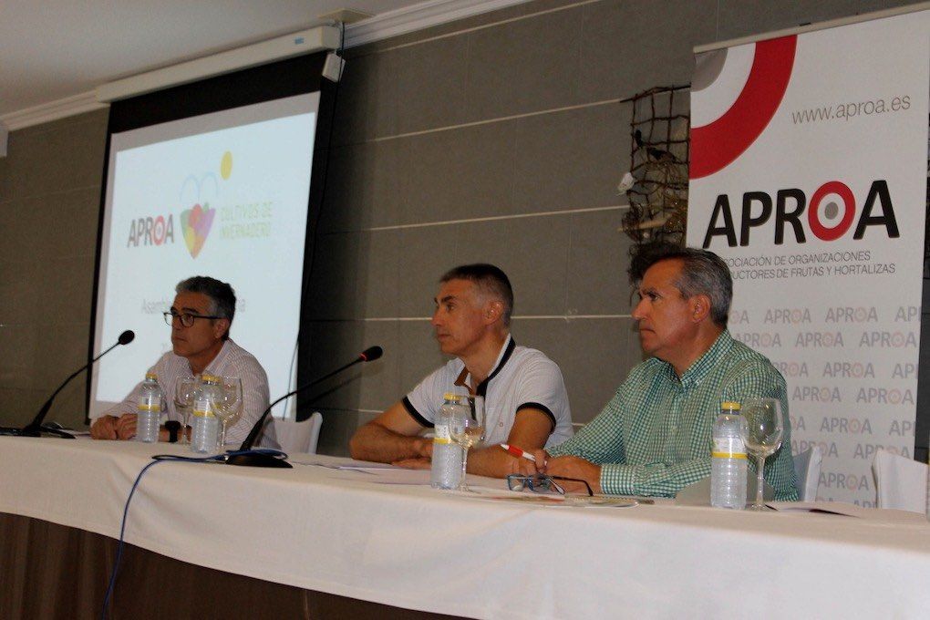 asamblea de aproa 2019-1