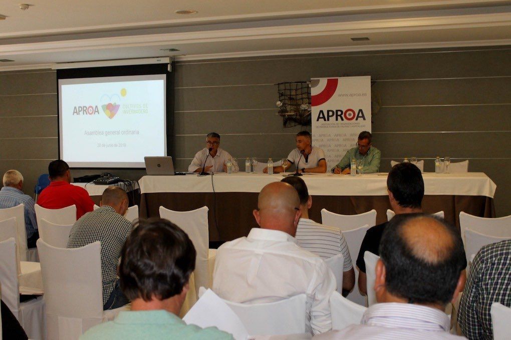 asamblea de aproa 2019