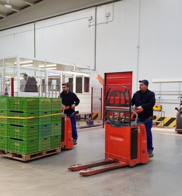 carretillas agrícolas