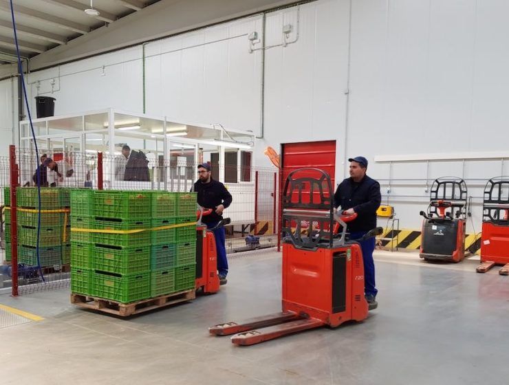 carretillas agrícolas