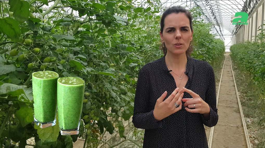 Ana Molina presenta consejos con el melón