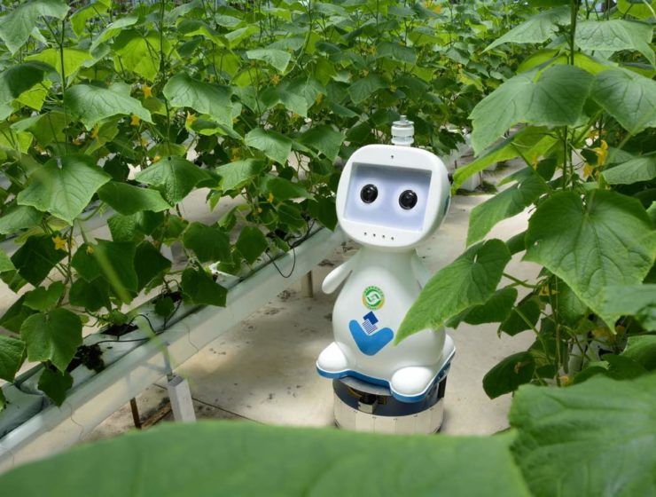 Aspecto del robot chino con 5G.