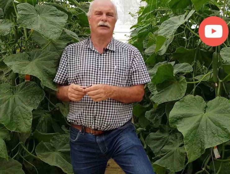 Jan van der Blom, biólogo