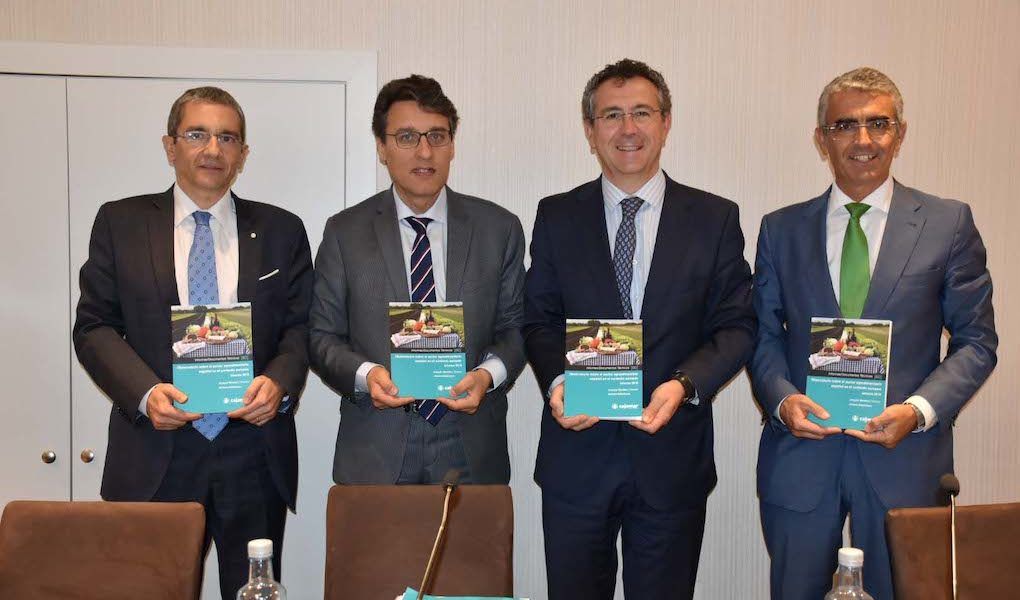Observatorio sector agroalimentario español jul 2019 8