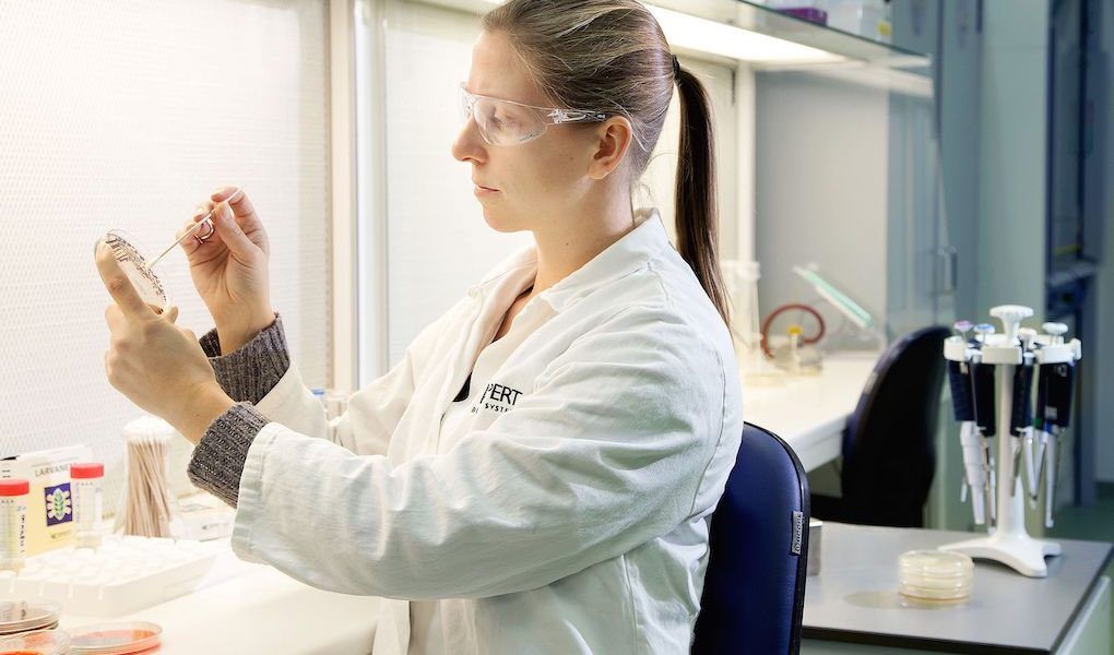 Investigación Koppert