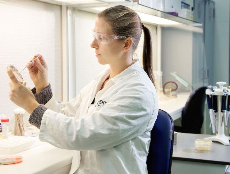 Investigación Koppert