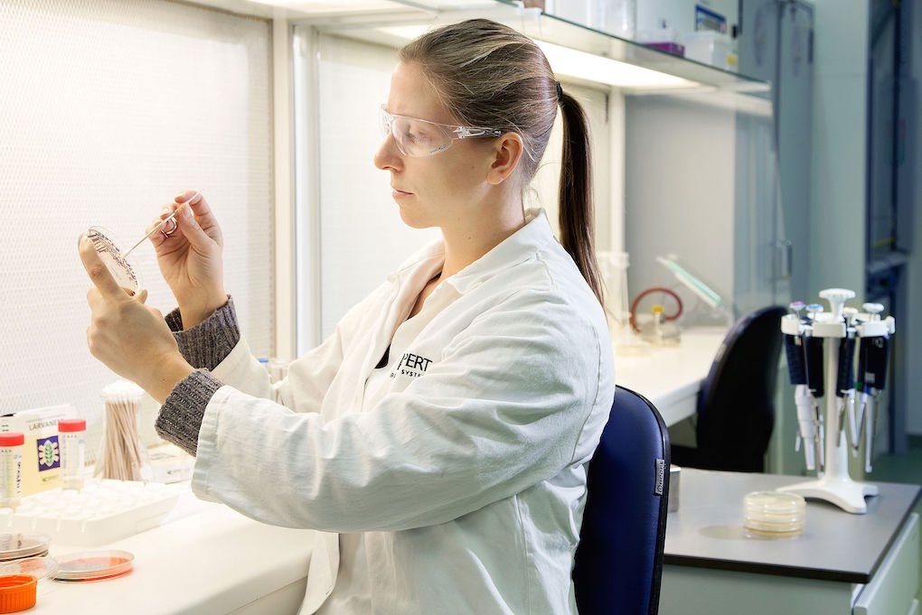 Investigación Koppert