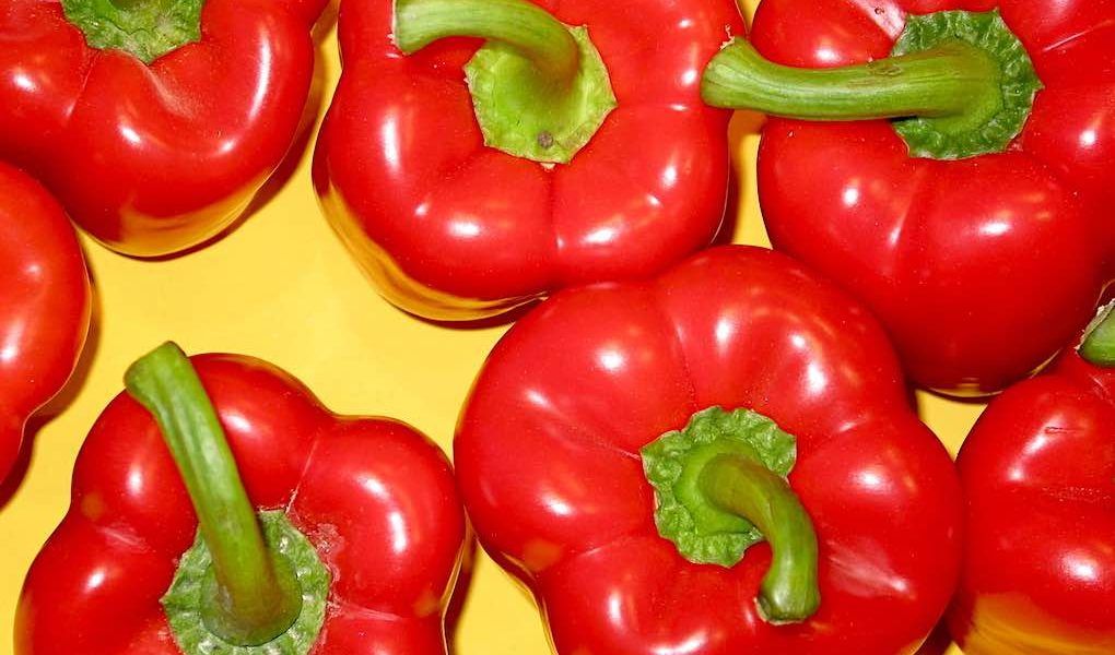 exportación de hortalizas, pimiento