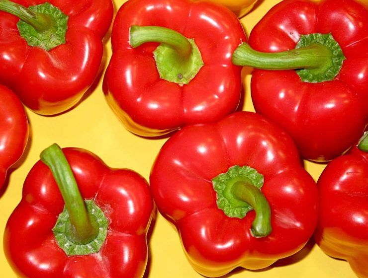 exportación de hortalizas, pimiento