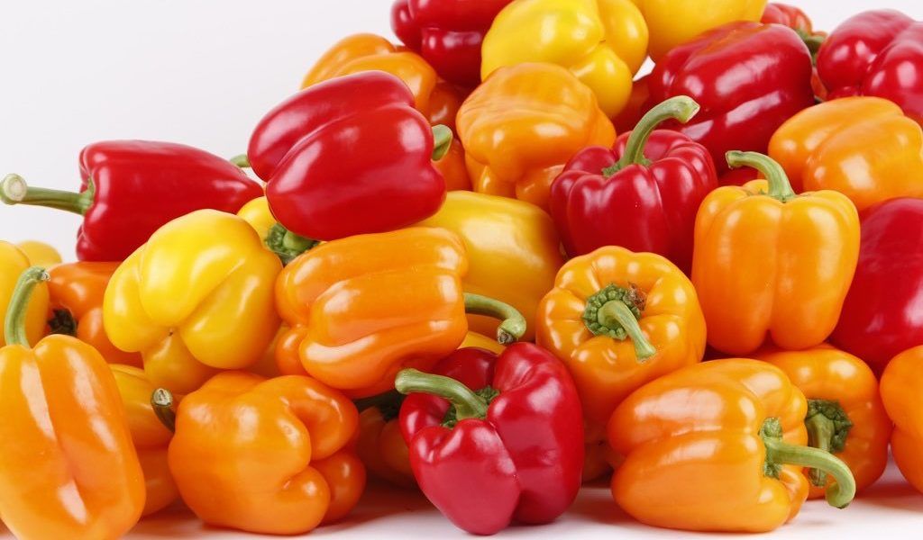 Pimientos de invernadero