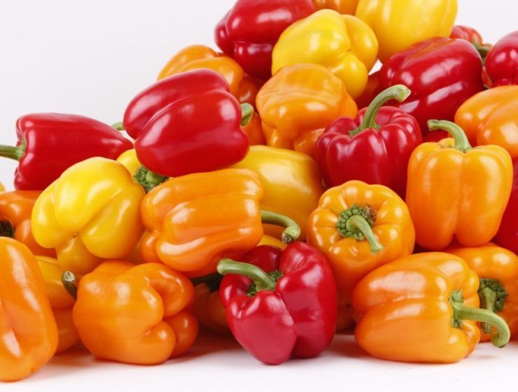 Pimientos de invernadero